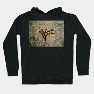 A Sea Sculpture Hoodie